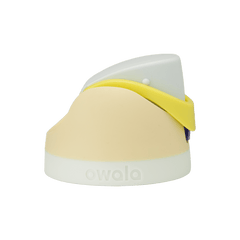 Lemon Limeade